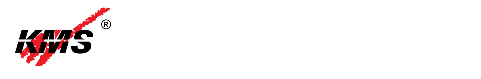 Kms Stock Broking Co Pvt. Ltd. logo - Home